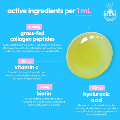 Pawrify Premium Liquid Collagen Drops