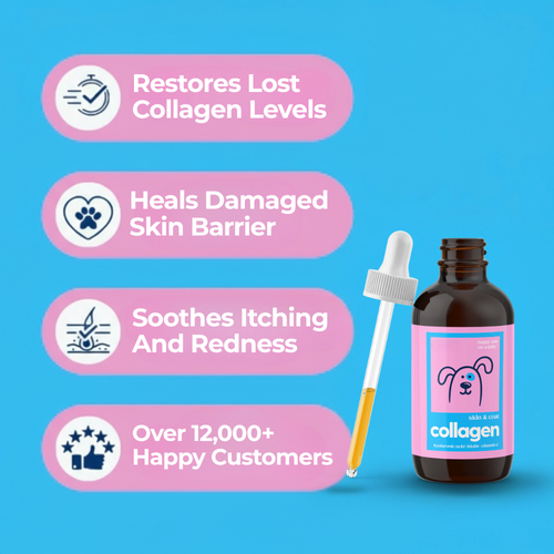 Pawrify Premium Liquid Collagen Drops