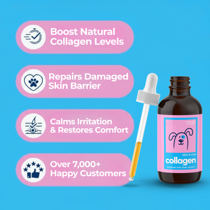 Pawrify Premium Liquid Collagen Drops