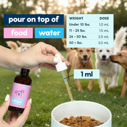 Pawrify Premium Liquid Collagen Drops